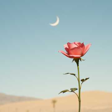 Забытая любовь