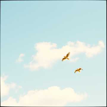 それぞれの空の下で