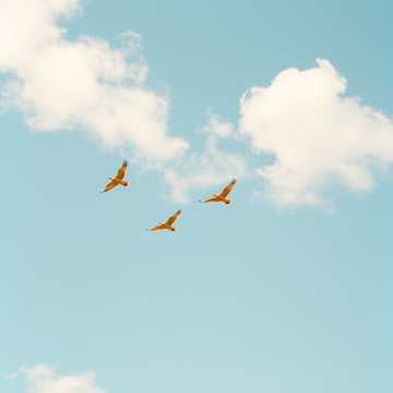 それぞれの空の下で