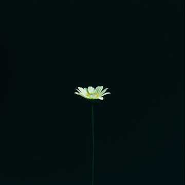 (伴奏) 書僮 - 勇敢的人(男女)