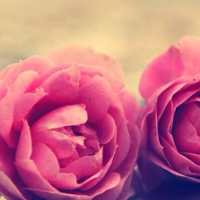 優しい手のぬくもり