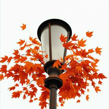 Город тонет в свете