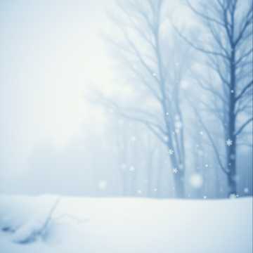 Падав сніг зима