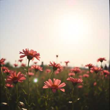 悲しみの裏側は・・・晴れ