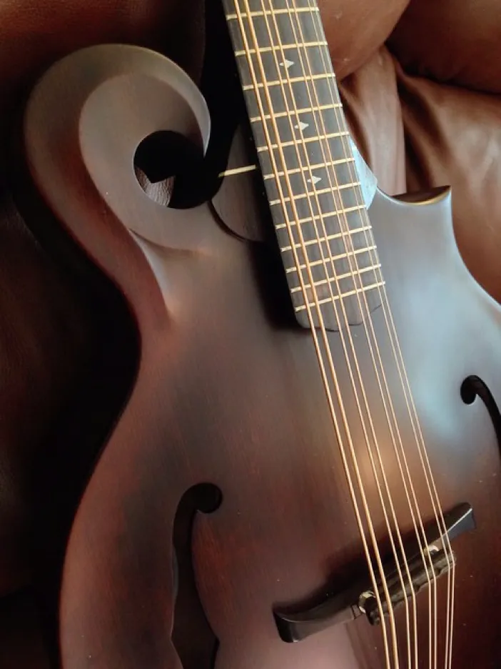 Mandocello: A Modern String Instrument Bridging AI Music and Songdio